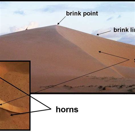 (PDF) Vegetated dunes and barchan dune fields