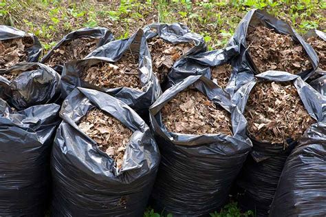 How to Use Leaves for Compost and Mulch | Gardener’s Path