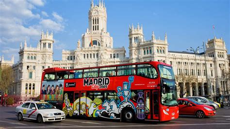 Are Dogs Allowed On Buses In Spain