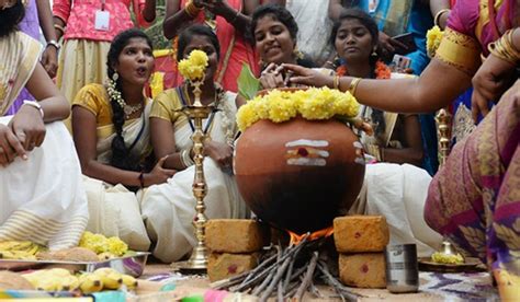 'Pongolo Pongal' fills the air as Tamil Nadu celebrates the harvest festival