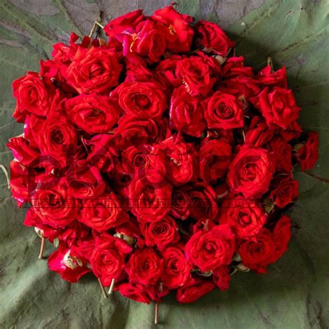 Plower Florist - Red Button Rose Online Flower Store Traditional Puja ...