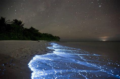 Beach, nature, blue, night, HD wallpaper | Peakpx