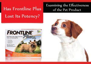 Frontline Plus Vs Frontline Gold Archives - BestVetCare