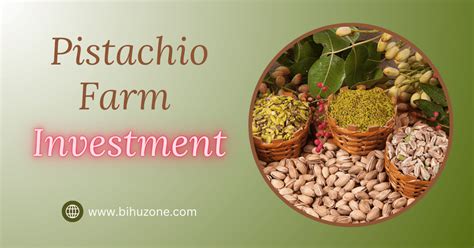 Investing in a Pistachio Farm | Benefits & Challenges