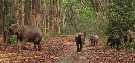 Places to visit around Jim Corbett - Seven Corbett