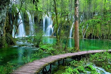 Plitvice Lakes National Park Tour from Zadar 2023 - Viator