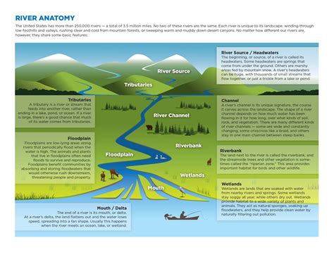 Infographics | Dovetail Design Studio