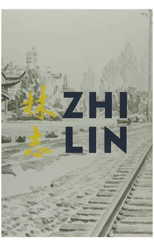 In Search of the Lost History of Chinese Migrants and the Transcontinental Railroads ...