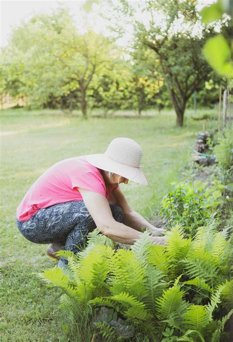 Unlocking the Secret of Longevity: The Surprising Hobby of the World’s Oldest People