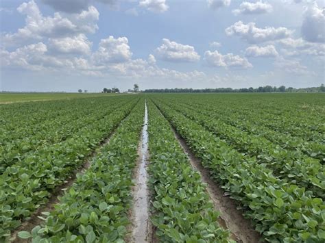 Storm season begins in the Delta | Successful Farming