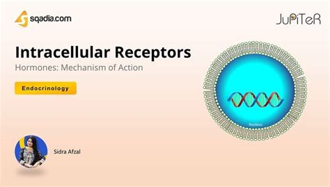 Hormones: Mechanism of Action - Intracellular Receptors