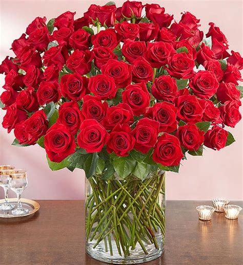 100 Premium Long Stem Red Roses | 1800Flowers.com - 163009