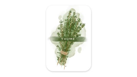 Herb series: Thyme (label stickers)