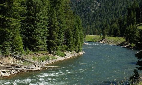 DIY Guide to Fly Fishing the Gallatin River in Montana | DIY Fly Fishing