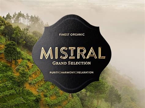 Mistral | Behance