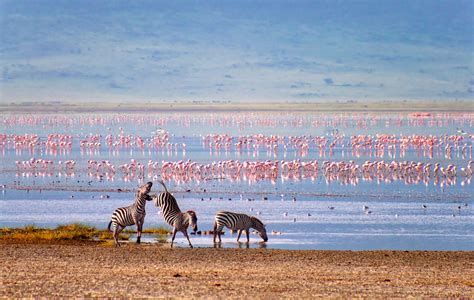 Ngorongoro Crater Images