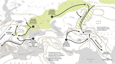 Aryan migration: Scientists use DNA to explain origins of ancient Indians — Quartz India