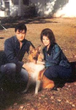 Elvis Presley With Animals 15 Photos – Elvis Presley