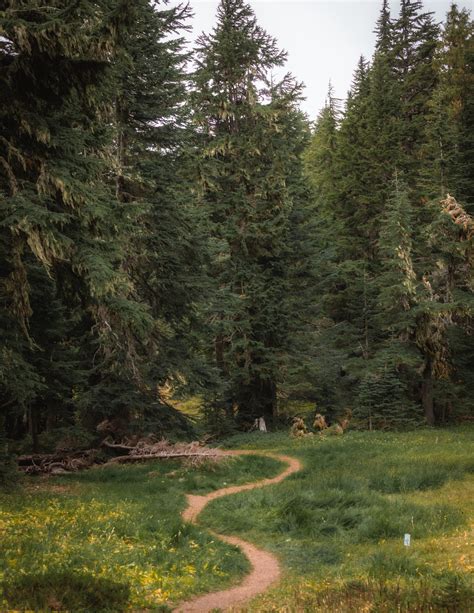 The Summit Lake Trail in Washington - The Break of Dawns