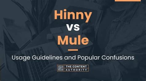 Hinny vs Mule: Usage Guidelines and Popular Confusions