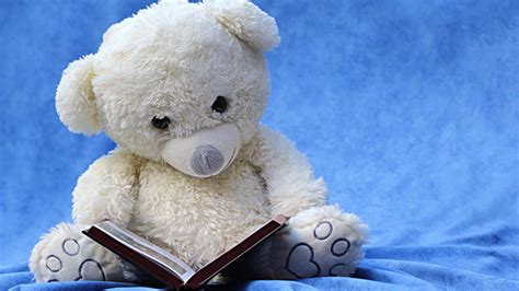 Teddy Bear With Open Book In Blue Background HD Teddy Bear Wallpapers ...