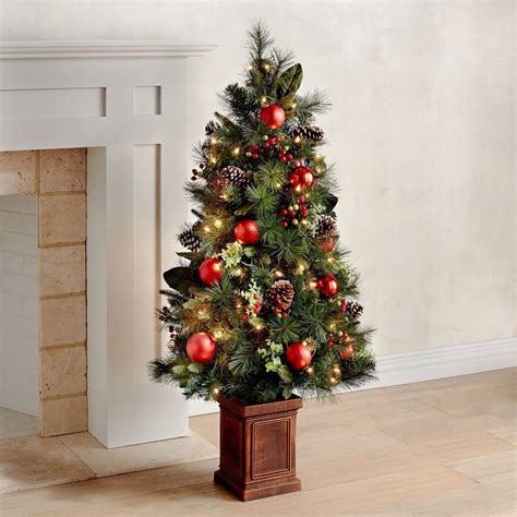 20+ Small Christmas Tree Outdoor - DECOOMO