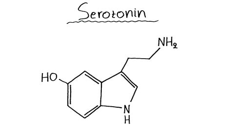 Serotonin Molecule Structure