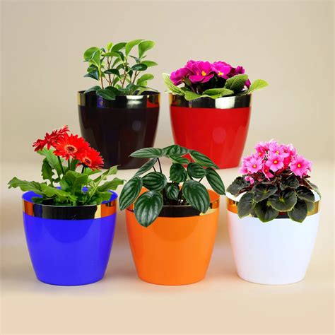 Buy Planters Online- Indoor & Outdoor Pots | Urban Plant