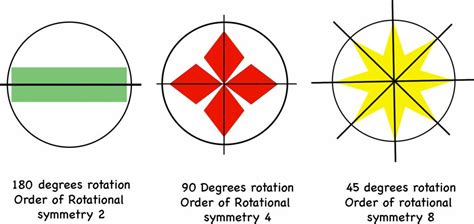 Symmetry in Nature | Mathcurious