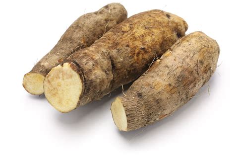 Yam Seeds For Sale - Garden Plant