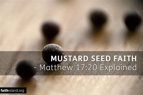 Mustard Seed Faith - Matthew 17:20 Explained | Faith Island