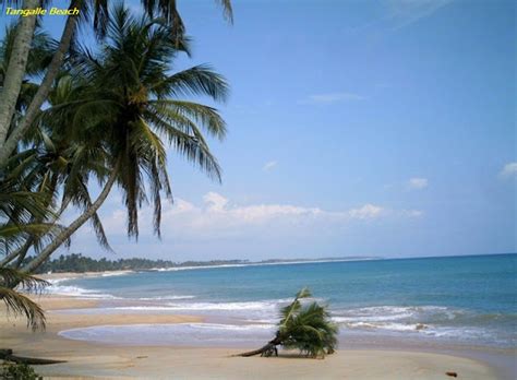 BEAUTIFUL SRILANKAN BEACHES - Enjoy your life