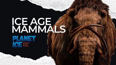 Top 128 + Animals that survived the ice age - Lifewithvernonhoward.com