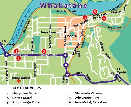 Whakatane Maps