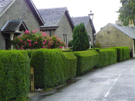 Luss, Scotland | Paesaggi, Luoghi, Chiesa