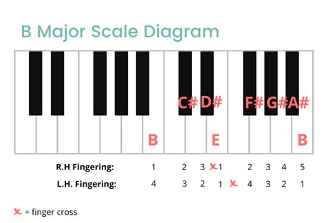 B Major Scale On The Piano - Notes, Fingerings & More