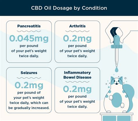 CBD Oil for Cats: Your Essential Guide | Marijuana Doctors | Online Medical Card Directory