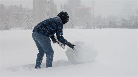 Snow transforms Metro Vancouver into winter wonderland (PHOTOS) | News