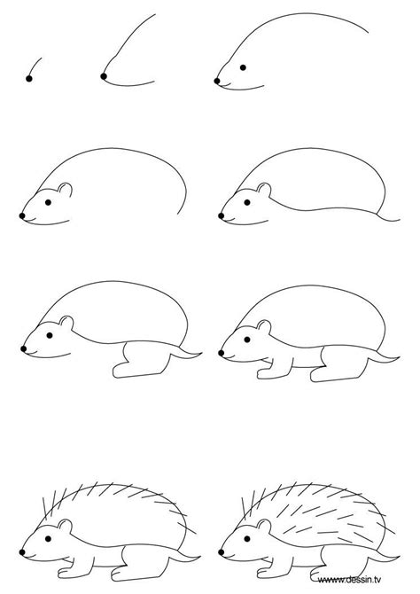 Hedgehog Drawing | learn how to draw a hedgehog with simple step by step instructions | Hedgehog ...