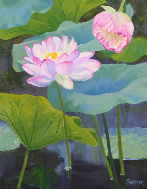 Wickford Lotus Pond 2022 – Jessica Shaffer Fine Art