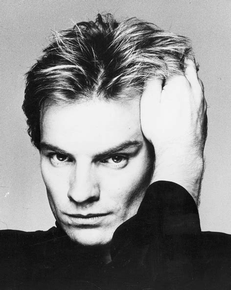 Sting Singer Stock Photos and Pictures | Getty Images