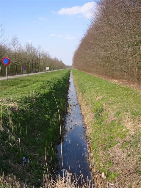 Free photo: Green Irrigation Ditch - Agriculture, Palms, Trench - Free ...