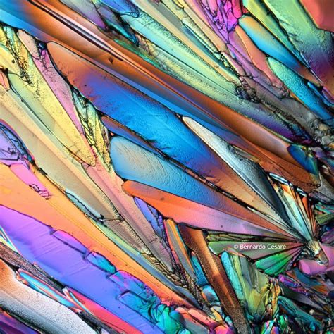 Microscope World Blog: Earth's Beauty under the Microscope