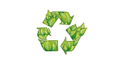 The benefit of recycling organic waste | Waste Wise Products