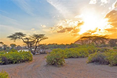 Samburu National Reserve – Beyond the Dreamer