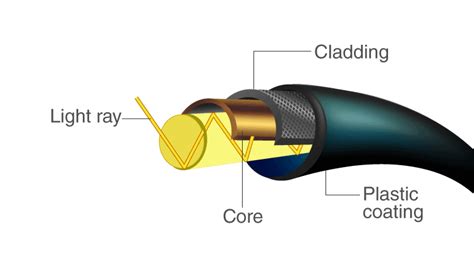 Optical Fiber Diagram