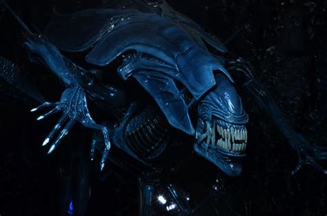 Xenomorph ตอนท้ายที่ออกมาใน Prometheus ใช่ Queen ไหมครับ [SPOILED] - Pantip