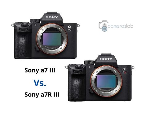 Sony a7 III vs a7R III - Learn Why Sony a7III is Best!