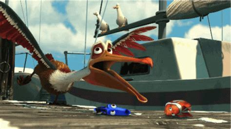 Pelican Off Finding Nemo GIFs | Tenor