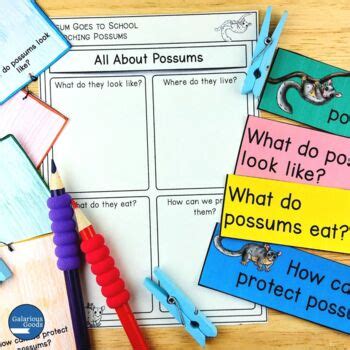 Possum Goes to School by Melanie Carter - Book Study by Galarious Goods